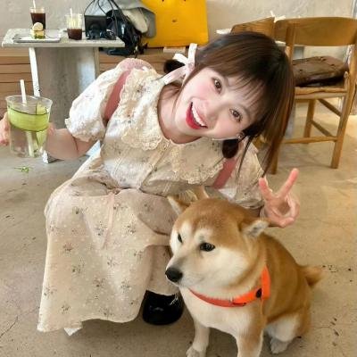 人民的名义