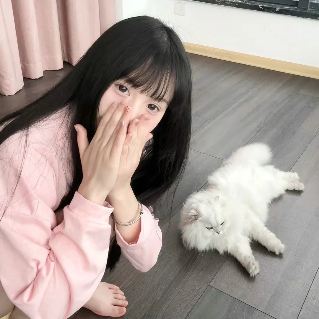如懿传